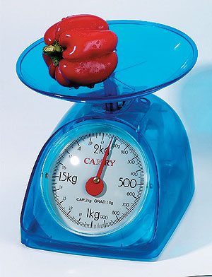 Mechanic Kitchen Scale